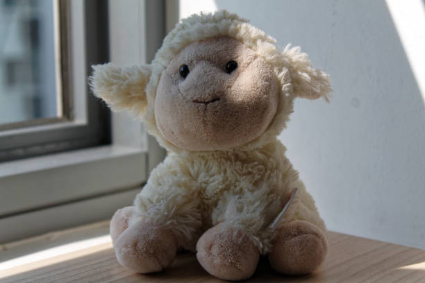 istock Lamb toy sitting by the window in shadows 884736672