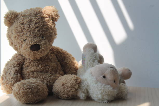 istock Bear and lamb toy sitting by the window in shadows 884736912