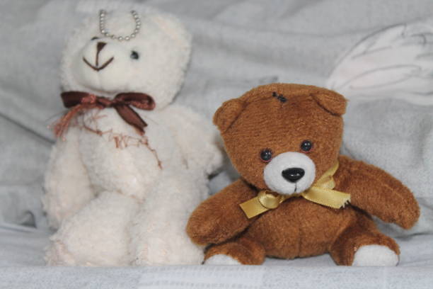 istock White and black Bears toy sitting on the bed 884741472