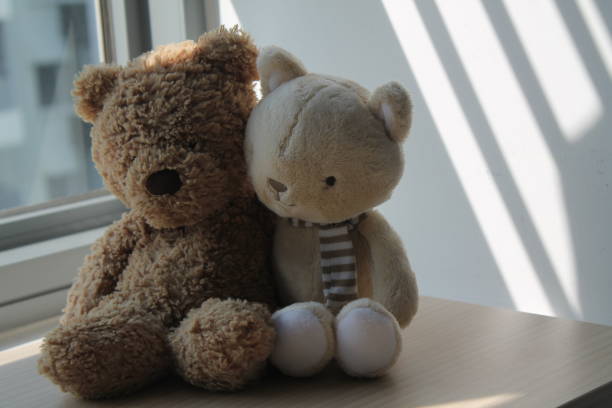 istock Brown Bear and kitten toy sitting by the window in shadows 884743578