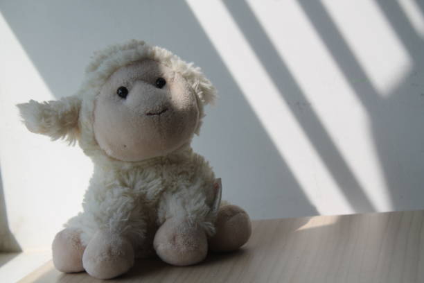 istock Lamb toy sitting by the window in shadows 884756204