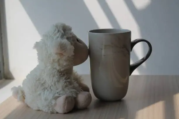 Photo of Lamb toy with cup sitting by the window in shadows