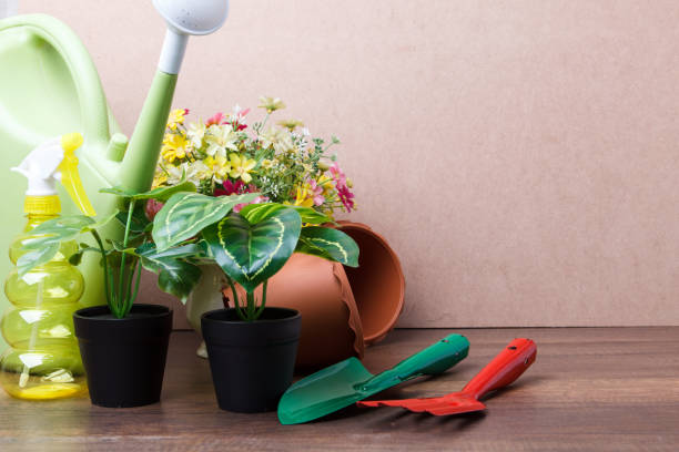 istock Top view of gardening tools 884762382