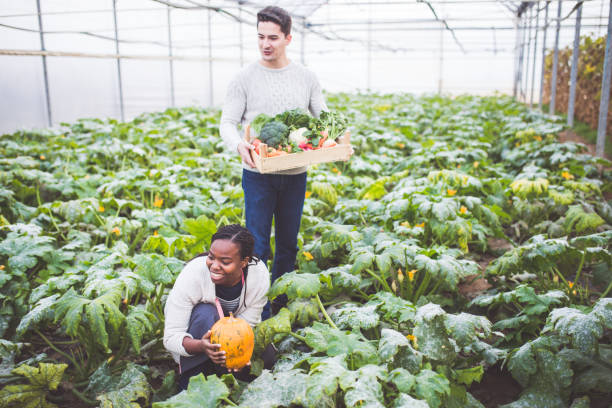 istock Grow Your Own Food 884764572