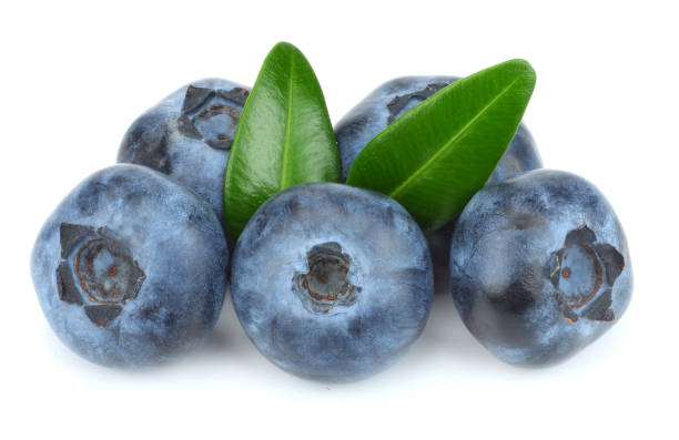 istock blueberries with green leaf isolated on white background 884764922