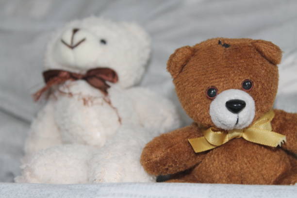 istock White and black Bears toy sitting on the bed 884765004