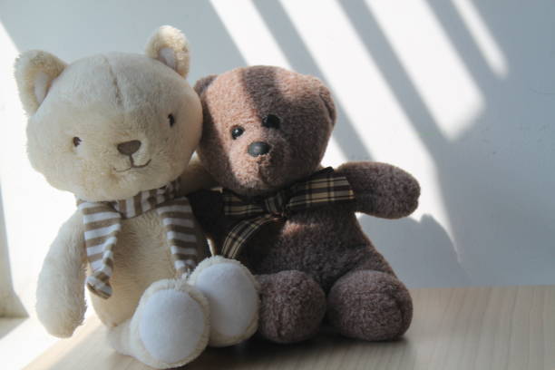 istock Bear and kitten toy sitting by the window in shadows 884773890