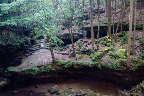istock Hocking Hills Enchanted And Scenic Forest Landscape 884795396
