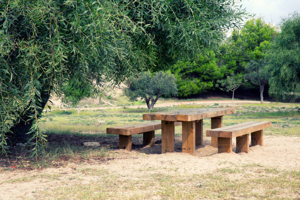 istock wooden picnic table in park 884801362