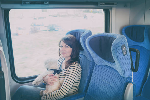 istock Dog traveling by train 884808944