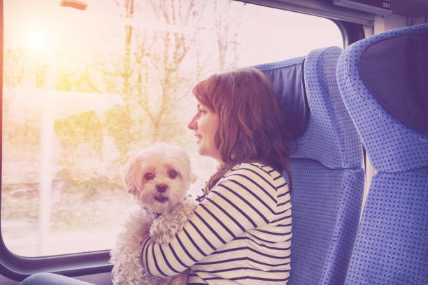 istock Dog traveling by train 884811354