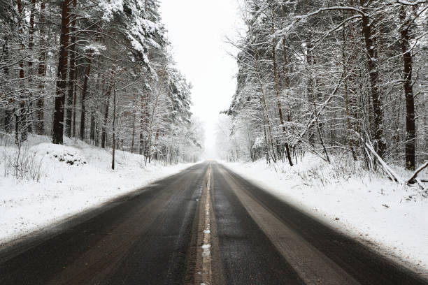istock Straight asphalt road in a forest covered with snow in Latvia 884833208