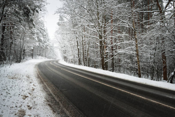istock Curved asphalt road in a forest covered with snow in Latvia 884833244