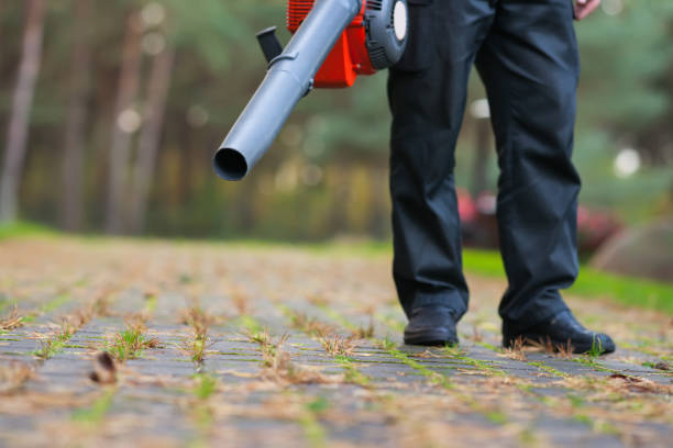 istock Man at work on cleaning the fallen leaves 884838692