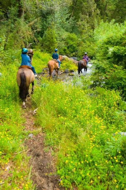 istock horse-riding holiday 884844798