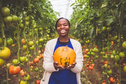 Cheerful Young Woman Holding Organic Pumpkin In Greenhouse Full Of Tomatoes