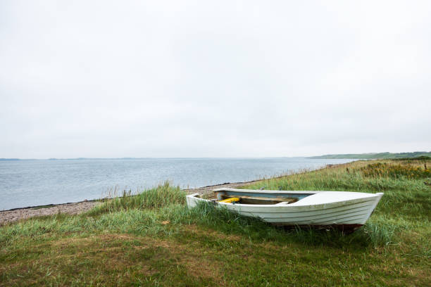 Boat aground on the grassy beach