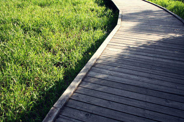 istock Wooden path in a spring park. Aged photo. 884849112