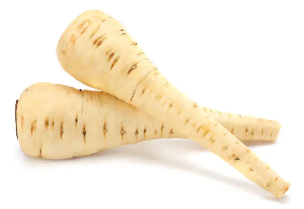 Photo of Parsnip isolated on the white background close up