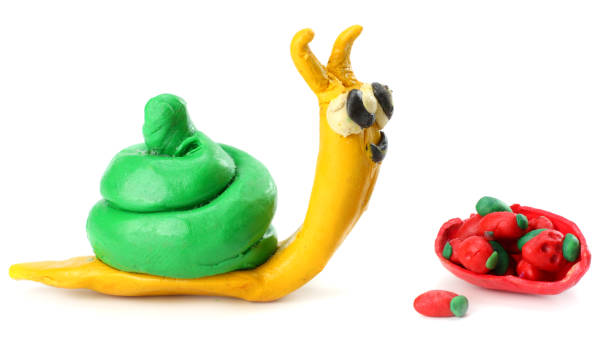 istock Kid's modelling clay snail isolated on white background 884855552