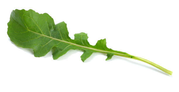 istock green fresh rucola leaves isolated on white background. Rocket salad or arugula. 884857104