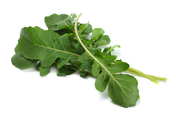 istock green fresh rucola leaves isolated on white background. Rocket salad or arugula. 884857246