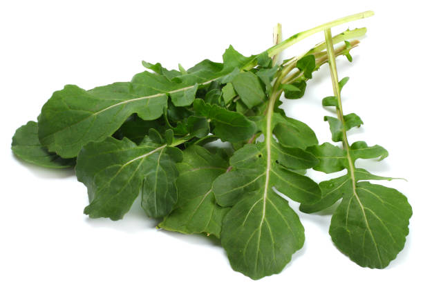 istock green fresh rucola leaves isolated on white background. Rocket salad or arugula. 884857712
