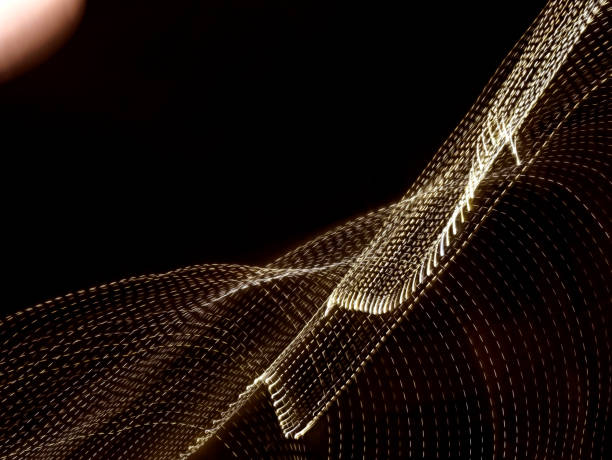 istock yellow dotted light lines - light painting 884870830