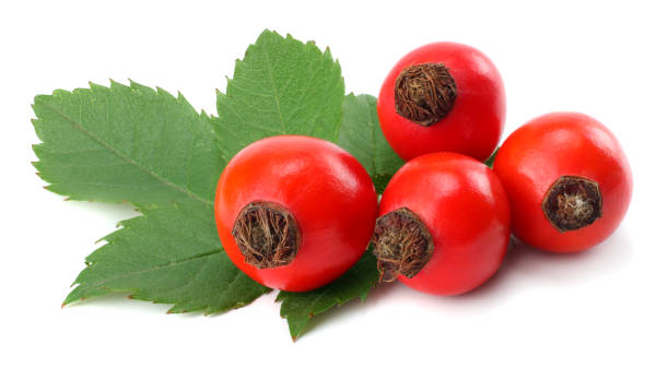 istock Dog Rose or wild rose (Rosa canina) berries with green leaf isolated on white background 884874544