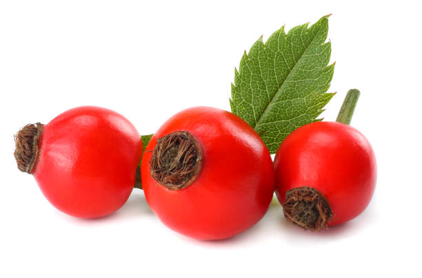 istock Dog Rose or wild rose (Rosa canina) berries with green leaf isolated on white background 884874610