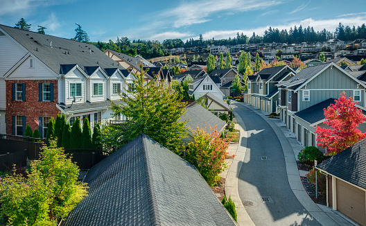 Houses line a Curvy Road that cuts through Residential Neighborhoods in the Issaquah Highlands on an Autumn Morning