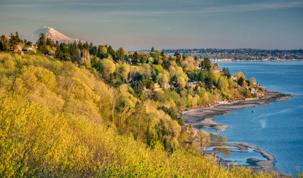 Colorful Forests in Puget Sound with Mt Rainier