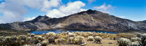 Panoramic view of mountain and lagoon in the andes stock photo