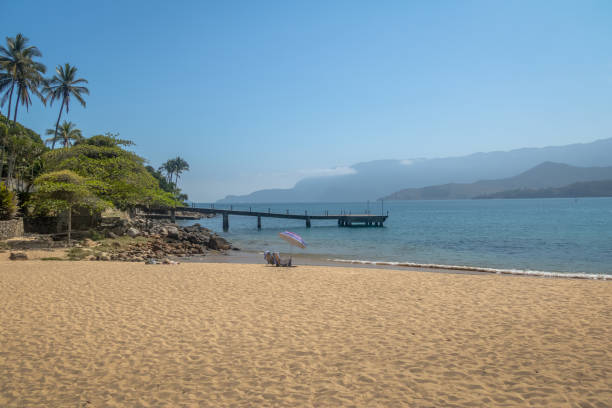 molo sulla spiaggia di praia da feiticeira - ilhabela, san paolo, brasile - wizards of the coast foto e immagini stock
