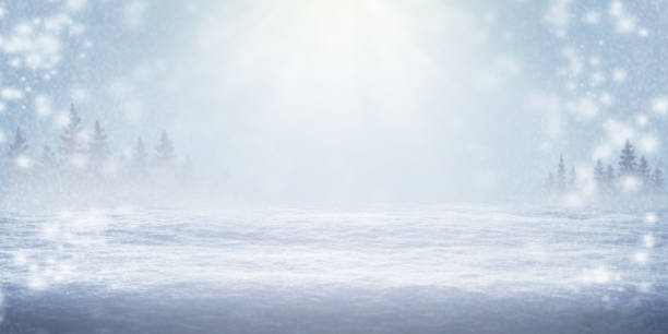 겨울 배경입니다. 크리스마스 새 해입니다. 클로즈업입니다. 깊은 눈. 자연 배경입니다. - winter landscape field snow 뉴스 사진 이미지