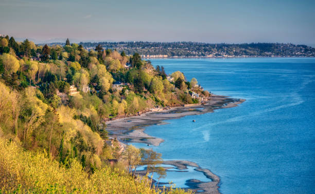 istock Puget Sound Waterway and Golden Forest 884879898