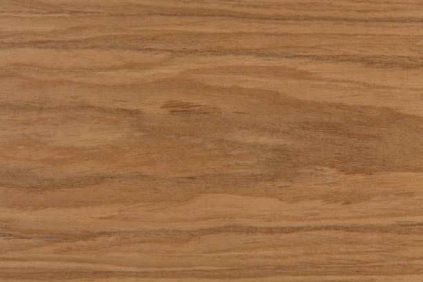 istock Texture of European Walnut with natural patterns 884940366