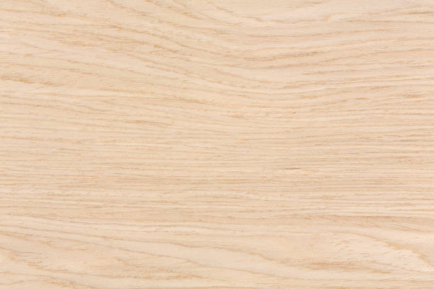 Texture of beautiful oak, natural background