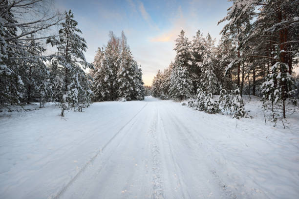 istock A road in a winter forest on a bright sunny day 884942970