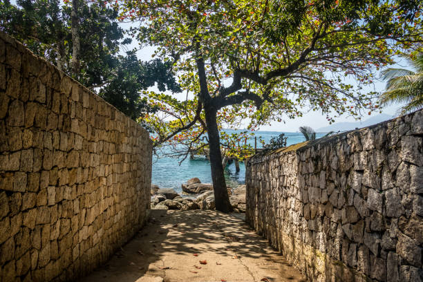 corridoio delle mura sulla spiaggia di praia da feiticeira - ilhabela, san paolo, brasile - wizards of the coast foto e immagini stock