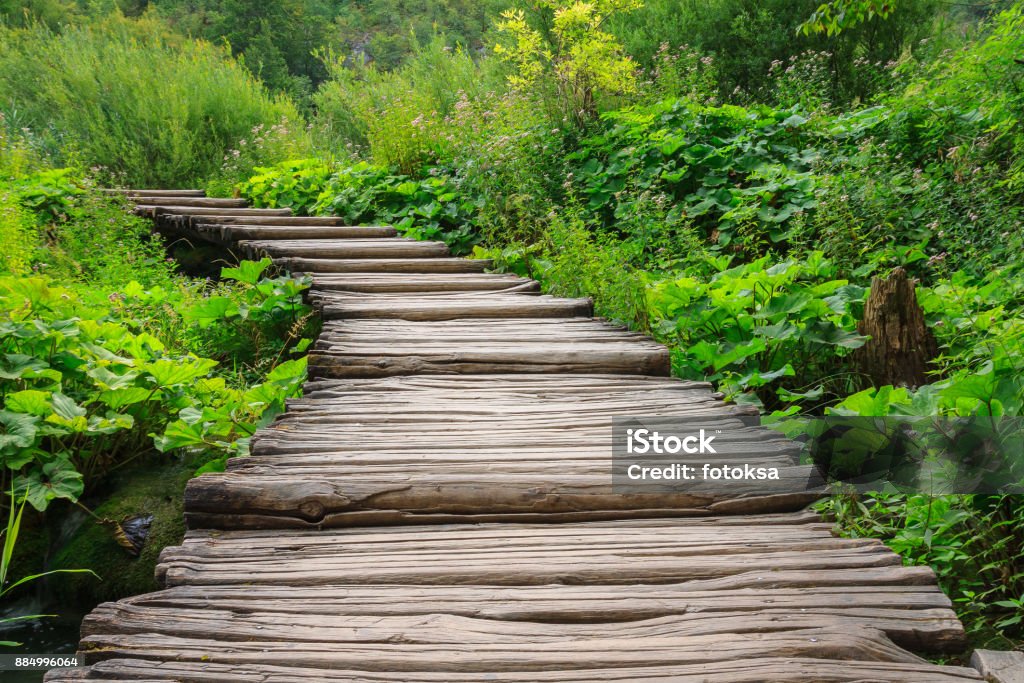 Chemin en bois dans le Parc National Plitvice en Croatie - Photo de Allée couverte de planches libre de droits