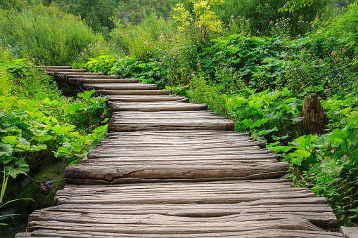 Wooden bridge footpath in Plitvice Lakes National Park . Croatia