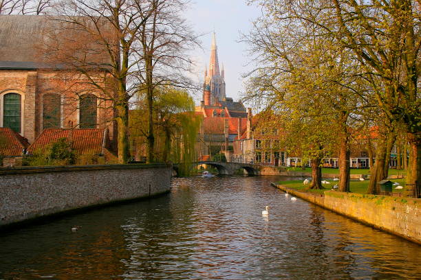 canal de bruges avec cygnes et canards - paysage urbain panorama vieille ville façades, cité médiévale en belgique - flanders bruges dusk building exterior photos et images de collection