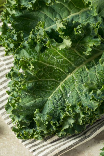 istock Raw Green Organic Curly Kale 885030360