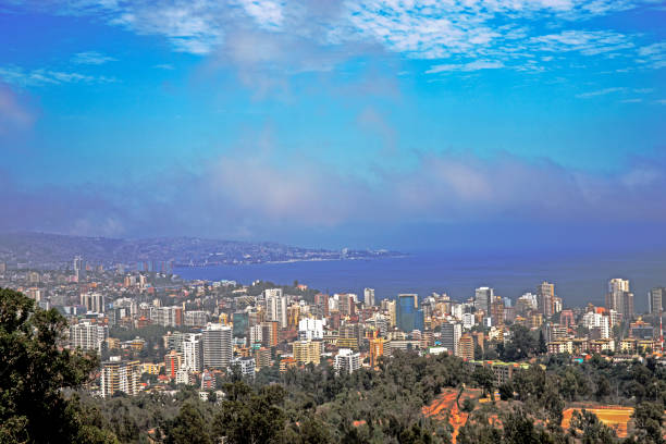istock Valparaiso street art seagull pacific ocean 885030540