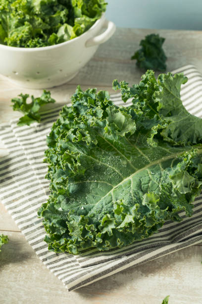 istock Raw Green Organic Curly Kale 885035574