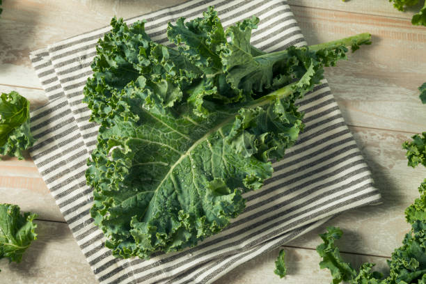 istock Raw Green Organic Curly Kale 885041294