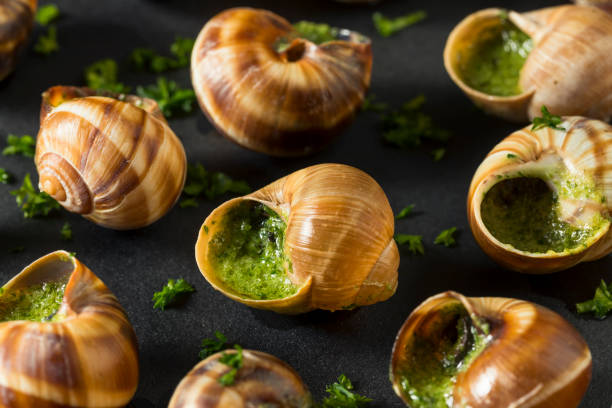 apéritif de fantaisie escargot chaud français - garlic butter snail garlic herb photos et images de collection