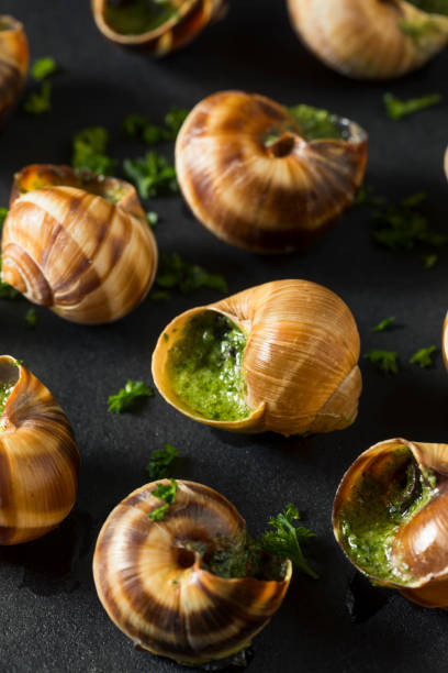 istock Fancy French Hot Escargot Appetizer 885043984