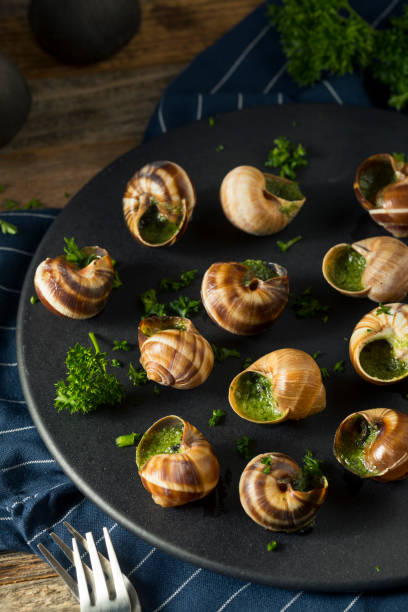 istock Fancy French Hot Escargot Appetizer 885044170